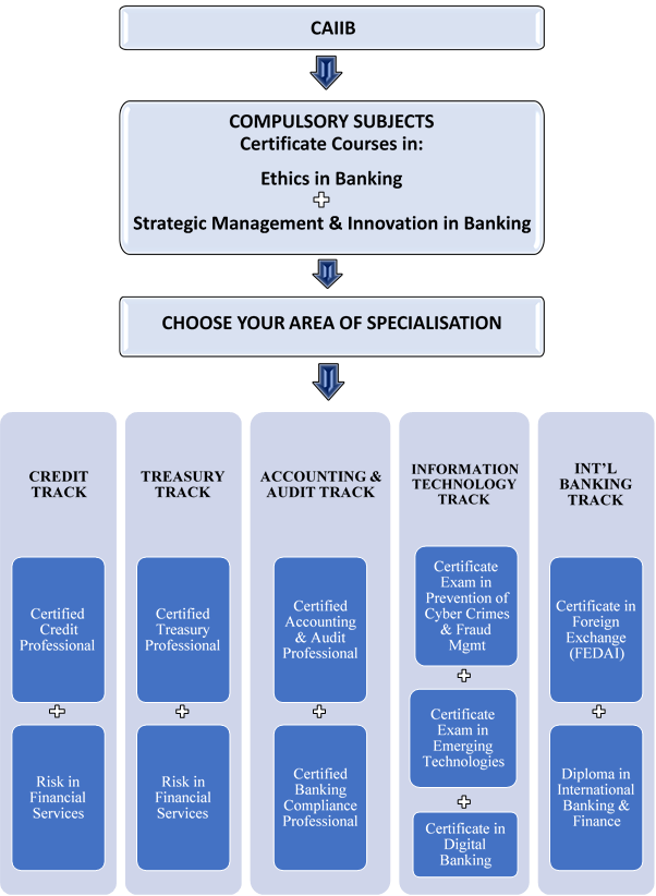 Process Diagram